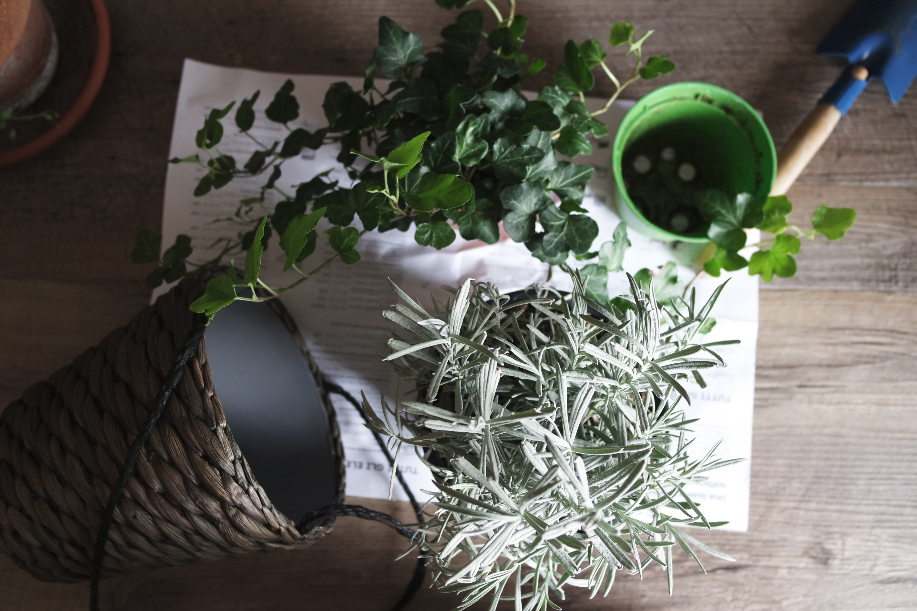 Potting soil, a scoop, and plant pots on a work surface